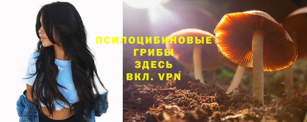 прущие грибы Абдулино
