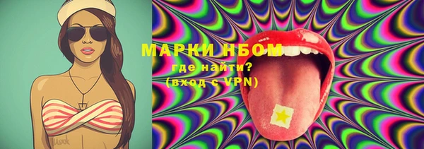 прущие грибы Абдулино
